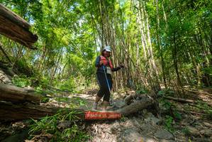 BIB: 
                            <button type="button" onclick="openModal(19387057)" class="btn btn-primary btn-sm float-right btn-popup" data-toggle="modal" data-target=".modal-high-quality">
                        <i class="fas fa-shopping-cart"></i> Add to Cart
                    </button>
                                            <button type="button" onclick="isThisMe(19387057, true)" class="btn btn-success btn-sm float-right btn-popup btn-isme hidden" data-toggle="tooltip" data-placement="bottom" title="นี่คือรูปของคุณใช่ไหม คลิกที่นี่เพื่อเอาเข้าอัลบั้ม">
                        <i class="fas fa-plus"></i> Add to album
                    </button>
                    <button type="button" onclick="isThisMe(19387057, false)" class="btn btn-warning btn-sm float-right btn-popup btn-isnotme hidden">
                        <i class="fas fa-ban"></i> Remove from album
                    </button>